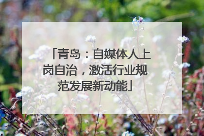 青岛：自媒体人上岗自治，激活行业规范发展新动能