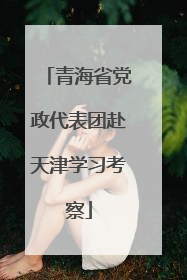 青海省党政代表团赴天津学习考察