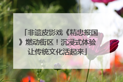 非遗皮影戏《精忠报国》燃动街区！沉浸式体验让传统文化活起来