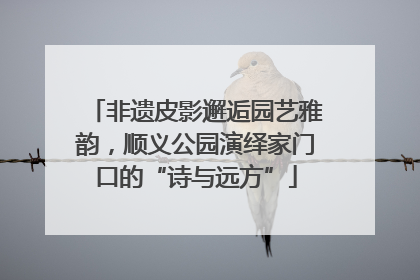 非遗皮影邂逅园艺雅韵，顺义公园演绎家门口的“诗与远方”