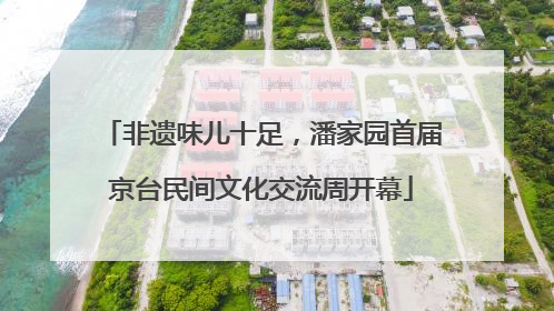 非遗味儿十足，潘家园首届京台民间文化交流周开幕