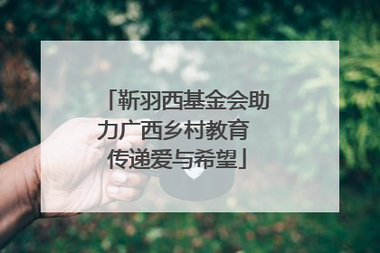 靳羽西基金会助力广西乡村教育 传递爱与希望