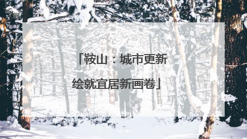 鞍山：城市更新绘就宜居新画卷