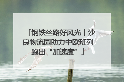 钢铁丝路好风光丨沙良物流园助力中欧班列跑出“加速度”