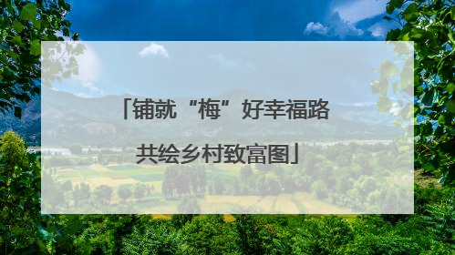 铺就“梅”好幸福路 共绘乡村致富图