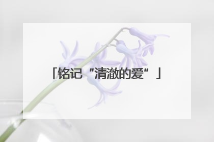 铭记“清澈的爱”