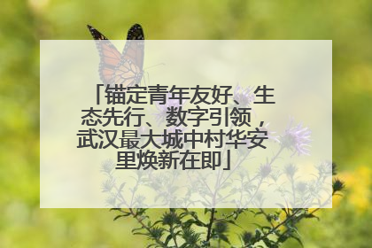 锚定青年友好、生态先行、数字引领，武汉最大城中村华安里焕新在即