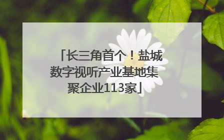 长三角首个！盐城数字视听产业基地集聚企业113家