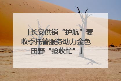 长安供销“护航”麦收季托管服务助力金色田野“抢收忙”
