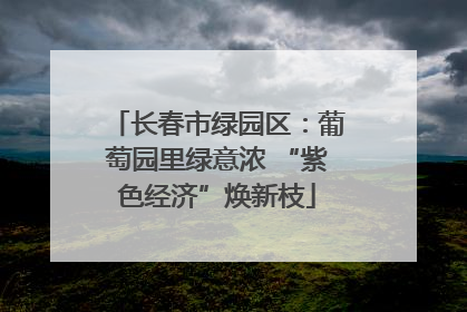 长春市绿园区：葡萄园里绿意浓 “紫色经济”焕新枝