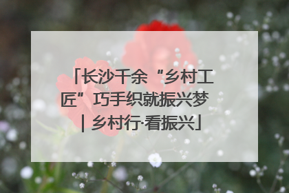 长沙千余“乡村工匠”巧手织就振兴梦｜乡村行·看振兴