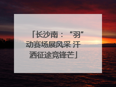 长沙南：“羽”动赛场展风采 汗洒征途竞锋芒