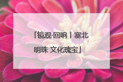 镜观·回响丨塞北明珠 文化瑰宝