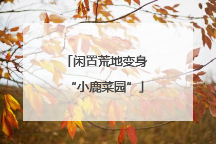 闲置荒地变身“小鹿菜园”