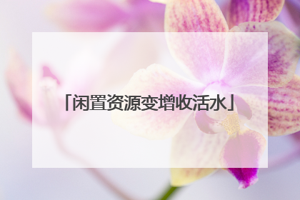 闲置资源变增收活水