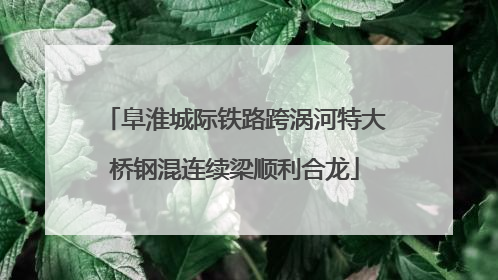 阜淮城际铁路跨涡河特大桥钢混连续梁顺利合龙