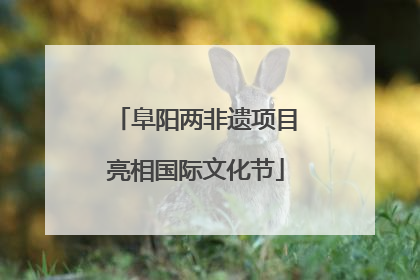 阜阳两非遗项目亮相国际文化节
