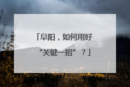 阜阳，如何用好“关键一招”？