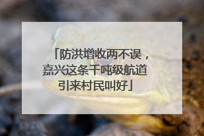 防洪增收两不误，嘉兴这条千吨级航道引来村民叫好