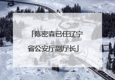陈密森已任辽宁省公安厅副厅长