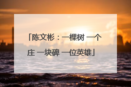 陈文彬：一棵树 一个庄 一块碑 一位英雄