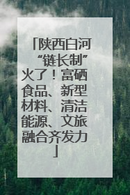 陕西白河“链长制”火了！富硒食品、新型材料、清洁能源、文旅融合齐发力