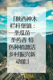 陕西神木栏杆堡镇：一垄瓜苗一垄药香 特色种植激活乡村振兴新动能