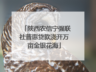 陕西农信宁强联社普惠贷款浇开万亩金银花海