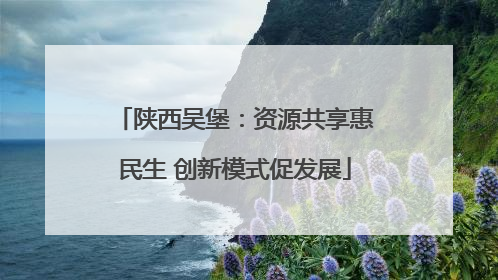 陕西吴堡：资源共享惠民生 创新模式促发展