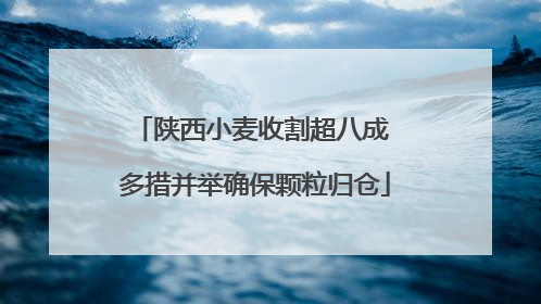 陕西小麦收割超八成 多措并举确保颗粒归仓