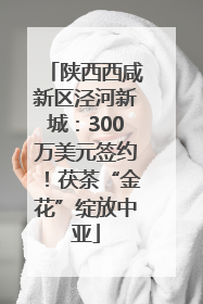 陕西西咸新区泾河新城：300万美元签约！茯茶“金花”绽放中亚