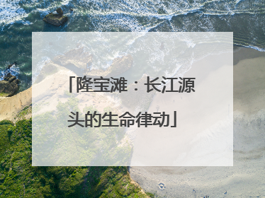 隆宝滩：长江源头的生命律动