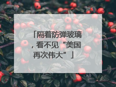 隔着防弹玻璃，看不见“美国再次伟大”