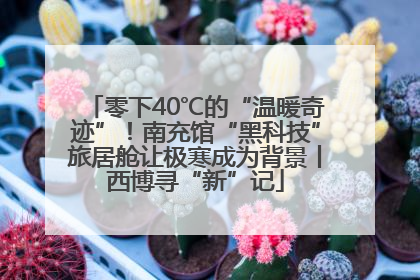 零下40℃的“温暖奇迹”！南充馆“黑科技”旅居舱让极寒成为背景丨西博寻“新”记