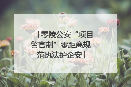 零陵公安“项目警官制”零距离规范执法护企安