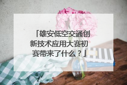雄安低空交通创新技术应用大赛初赛带来了什么？