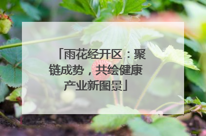 雨花经开区：聚链成势，共绘健康产业新图景
