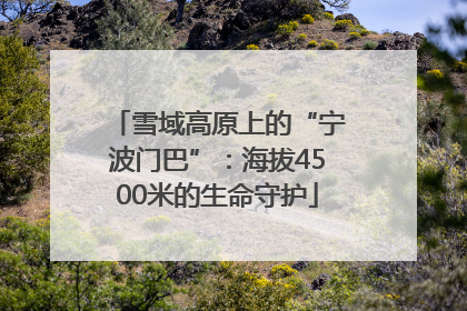 雪域高原上的“宁波门巴”：海拔4500米的生命守护