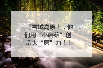 雪域高原上，他们用“小蘑菇”创造大“蘑”力！