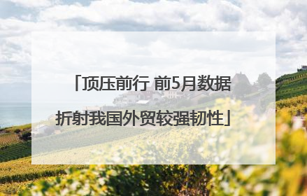 顶压前行 前5月数据折射我国外贸较强韧性
