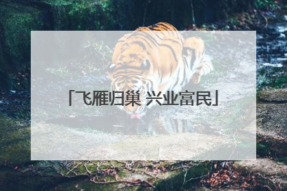 飞雁归巢 兴业富民