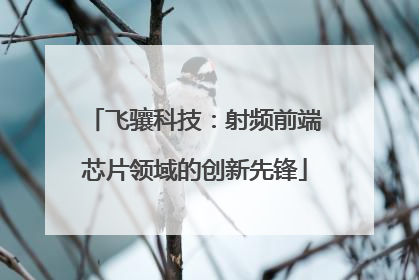 飞骧科技：射频前端芯片领域的创新先锋