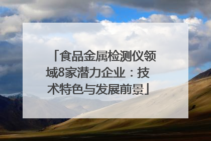 食品金属检测仪领域8家潜力企业：技术特色与发展前景