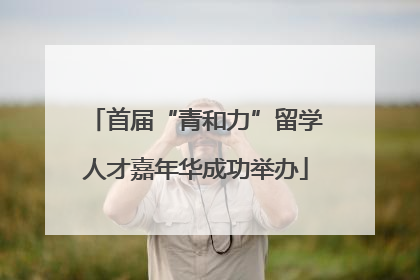 首届“青和力”留学人才嘉年华成功举办