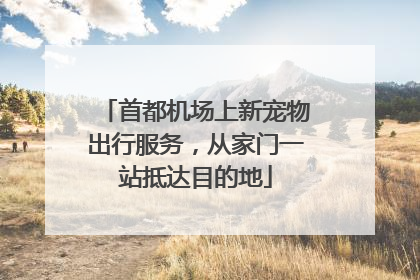 首都机场上新宠物出行服务，从家门一站抵达目的地