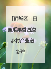 驿城区：田园瓜果香四溢 乡村产业谱新篇