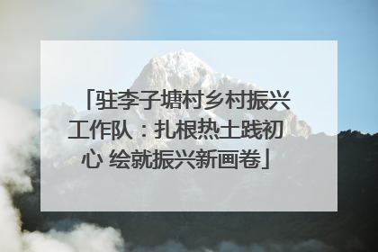 驻李子塘村乡村振兴工作队：扎根热土践初心 绘就振兴新画卷