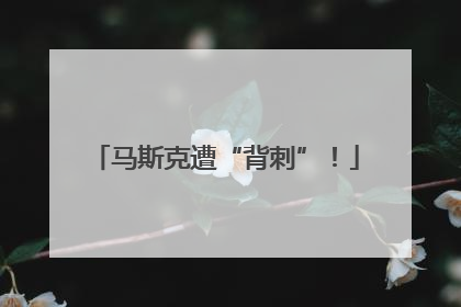 马斯克遭“背刺”！