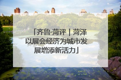 齐鲁·菏评｜菏泽以展会经济为城市发展增添新活力