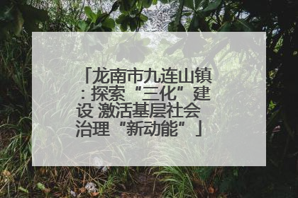 龙南市九连山镇：探索“三化”建设 激活基层社会治理“新动能”